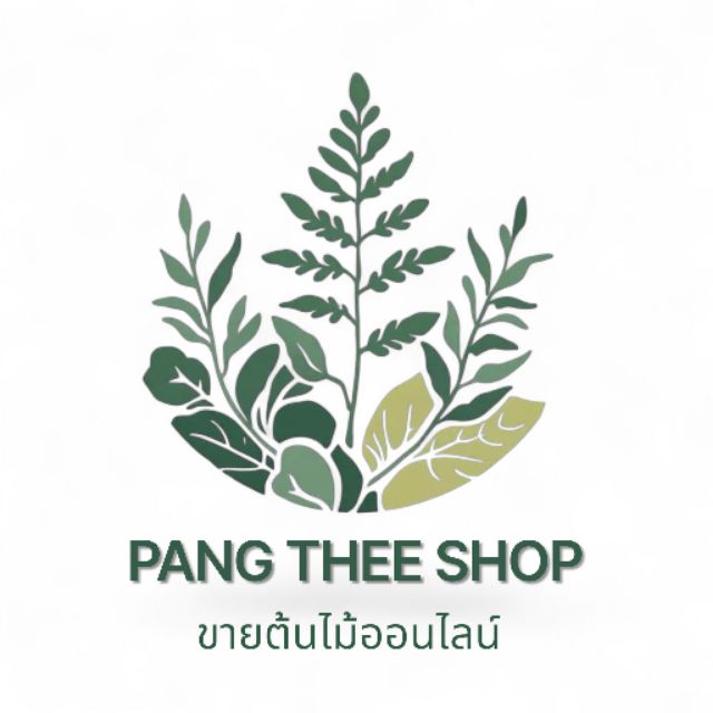 PANG TREE SHOP, ร้านค้าออนไลน์ | Shopee Thailand